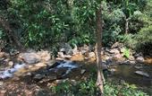 Туры в отель Three Hills Resort & Spa, Coorg