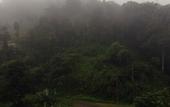 Туры в отель Three Hills Resort & Spa, Coorg