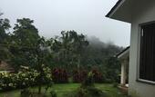 Туры в отель Three Hills Resort & Spa, Coorg