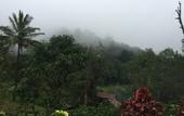 Туры в отель Three Hills Resort & Spa, Coorg