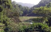 Туры в отель Three Hills Resort & Spa, Coorg
