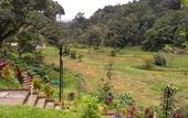 Туры в отель Three Hills Resort & Spa, Coorg