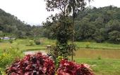 Туры в отель Three Hills Resort & Spa, Coorg
