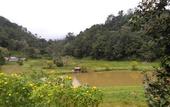 Туры в отель Three Hills Resort & Spa, Coorg