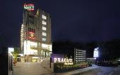 Туры в отель Hotel Pragati The Grand