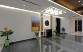 Туры в отель Hotel Pragati The Grand