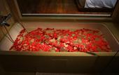 Туры в отель Coral Reef Kochi - A Unit of Coral Isle Hotels