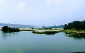 Туры в отель Corbett Panorama Resort