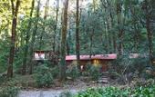 Туры в отель Ayar Jungle Resort