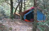 Туры в отель Ayar Jungle Resort