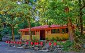 Туры в отель Ayar Jungle Resort