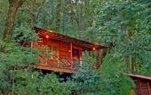 Туры в отель Ayar Jungle Resort