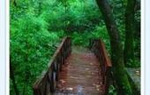Туры в отель Ayar Jungle Resort