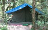 Туры в отель Ayar Jungle Resort
