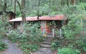 Туры в отель Ayar Jungle Resort