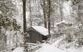 Туры в отель Ayar Jungle Resort