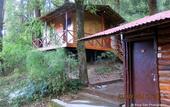 Туры в отель Ayar Jungle Resort