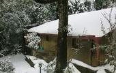Туры в отель Ayar Jungle Resort
