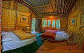 Туры в отель Ayar Jungle Resort