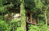 Туры в отель Ayar Jungle Resort