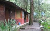 Туры в отель Ayar Jungle Resort