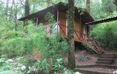 Туры в отель Ayar Jungle Resort