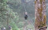 Туры в отель Ayar Jungle Resort