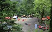 Туры в отель Ayar Jungle Resort