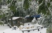 Туры в отель Ayar Jungle Resort