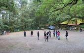 Туры в отель Ayar Jungle Resort