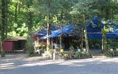 Туры в отель Ayar Jungle Resort