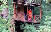 Туры в отель Ayar Jungle Resort