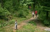 Туры в отель Ayar Jungle Resort