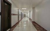 Туры в отель Hotel The Royal Krishna