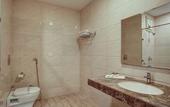 Туры в отель Hotel The Royal Krishna