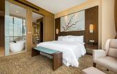Туры в отель The Westin Kolkata Rajarhat