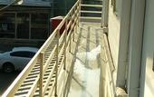 Туры в отель Kay Kay Residency