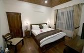 Туры в отель Jungle Lodge Resort