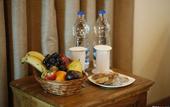 Туры в отель Jungle Lodge Resort