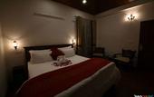 Туры в отель Jungle Lodge Resort