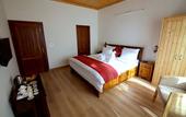 Туры в отель Jungle Lodge Resort