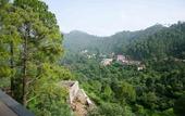 Туры в отель Jungle Lodge Resort