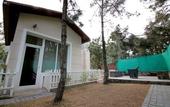 Туры в отель Jungle Lodge Resort