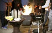 Туры в отель Jungle Lodge Resort