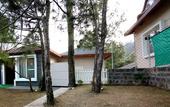 Туры в отель Jungle Lodge Resort