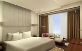 Туры в отель Renaissance Ahmedabad SG Highway