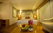 Туры в отель Hotel Shubh Inn