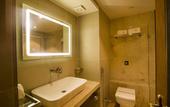 Туры в отель Hotel Shubh Inn