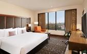 Туры в отель Novotel Kochi Infopark