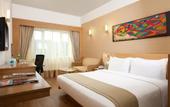 Туры в отель Lemon Tree Hotel Jammu